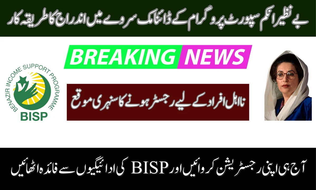 BISP Dynamic Survey